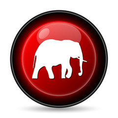 Elephant icon