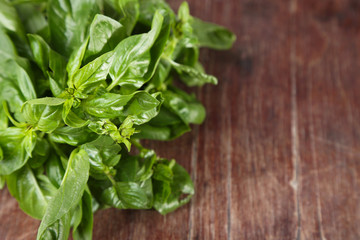 Green fresh basil on wooden background
