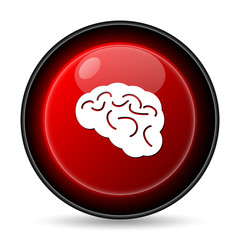 Brain icon