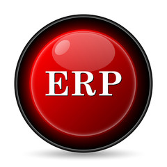 ERP icon