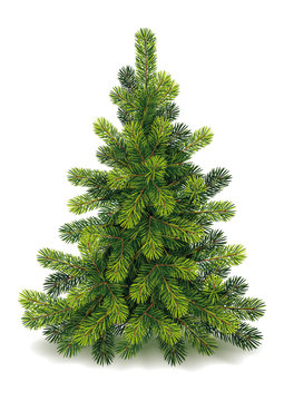 Detailed Small Christmas Tree
