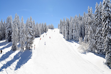 Skiers are moving at ski track