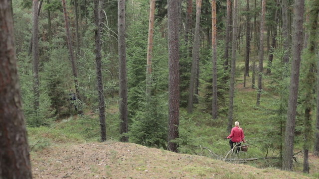 Woman walking and picking wild mushrooms in the forest.