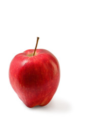 Red Washington apple isolated clipping path.