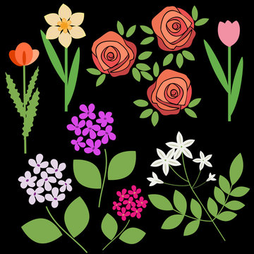 Flowers set