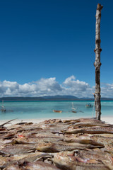 Obraz premium Dried Fish