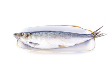 Salted herring lies on a white plate