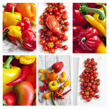 Collage, Paprikas (Capsium), Tomatensorten