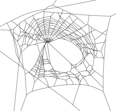 old black web with large holes