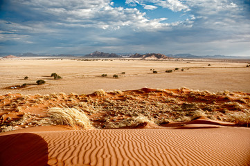 Sossusvlei, deserto della Namibia, Africa