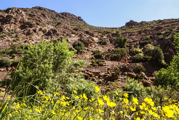 Paysage  du Maroc