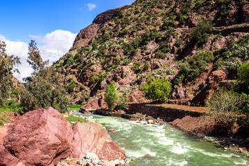 Fototapeta premium Paysage du Maroc rivière Ourika