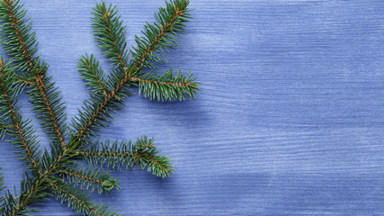 christmas tree branch on blue wood table