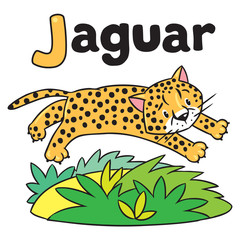 Little cheetah or jaguar for ABC. Alphabet J © passengerz