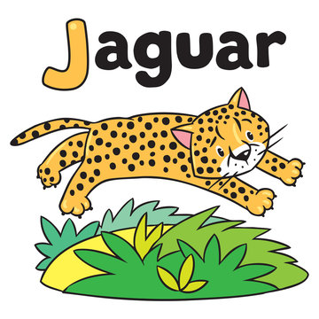 Little cheetah or jaguar for ABC. Alphabet J
