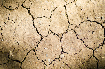 Cracked soil