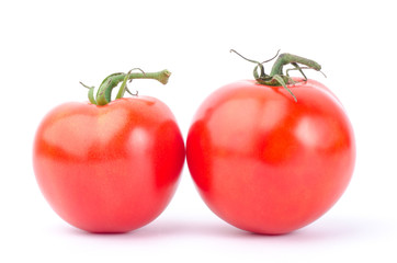 Fresh tomato