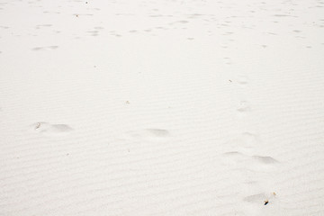 footprints in the sand