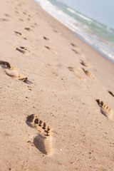 Footprints in the Sand