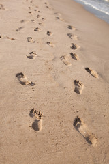 Footprints in the Sand