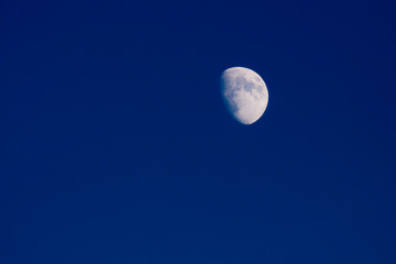 Fototapeta premium The Moon