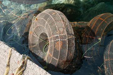 fishing nets