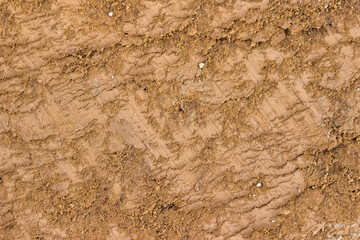 Ground texture background