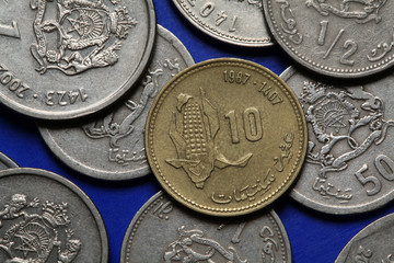 Naklejka premium Coins of Morocco