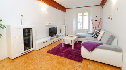 Modern living room with wood floor