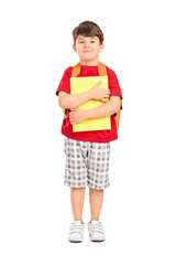 Cute schoolboy holding books