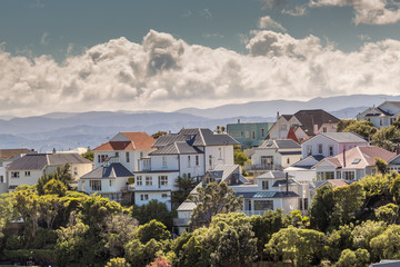 Fototapeta na wymiar A city scape of Wellington, New Zealand