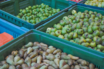 Pear and apple