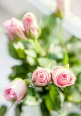 Small pink roses bouquet on the windowsill in bright light
