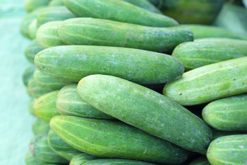 Fresh cucumber in the market