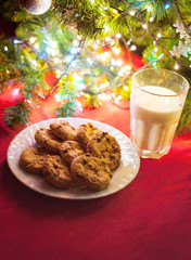 Milk and cookies for Santa