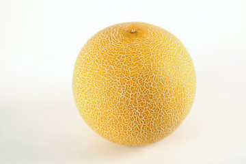 yellow mellon