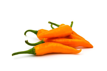 Hot chili pepper isolated on a white background