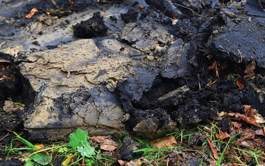 plowed land