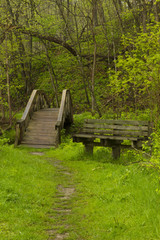 Fototapeta premium Spring Trail Bridge