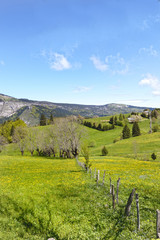 tray st Nizier park of Vercors, Isere Department, France