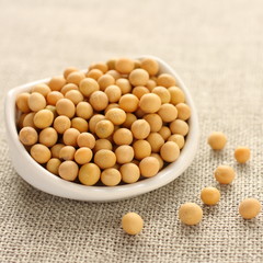 Soybeans in white ceramic bowl on sackcloth background