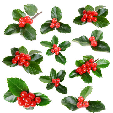 Leaves of mistletoe with berries collage, isolated on white