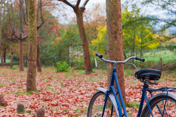 Fototapeta na wymiar Vintage bicycle leaning against a tree and autumn leaves
