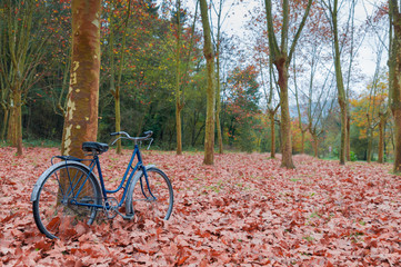 Fototapeta premium Vintage bicycle leaning against a tree and autumn leaves