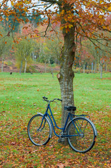 Fototapeta premium Vintage bicycle leaning against a tree and autumn leaves