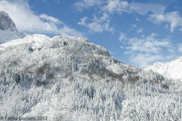 Il bianco e l'azzurro