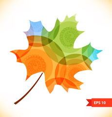 multicolor maple leaf