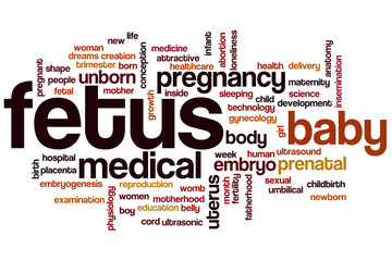 Fototapeta premium Fetus word cloud