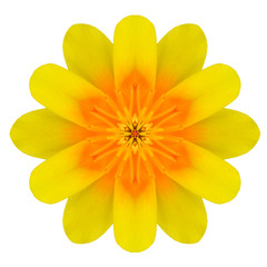 Yellow Mandala Flower Ornament. Kaleidoscope Pattern Isolated