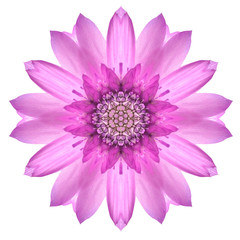 Pink Mandala Flower Ornament. Kaleidoscope Pattern Isolated